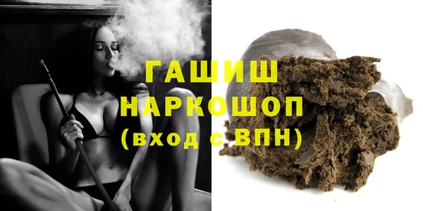 сатива Бородино