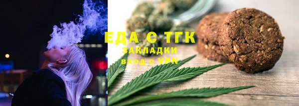 сатива Бородино