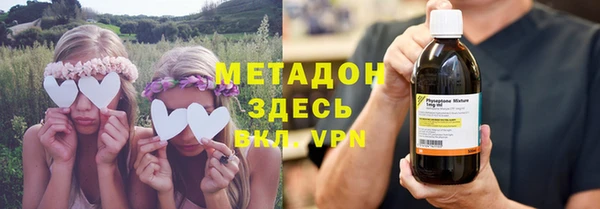 сатива Бородино