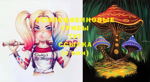 соль ск Белоозёрский