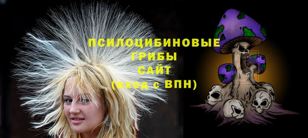 молекула духа Верея