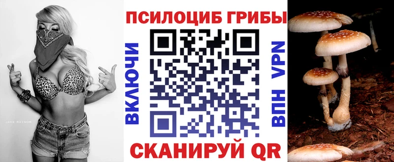наркошоп  Искитим  Галлюциногенные грибы мухоморы 